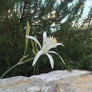 Ca' Di Bianca Moneglia